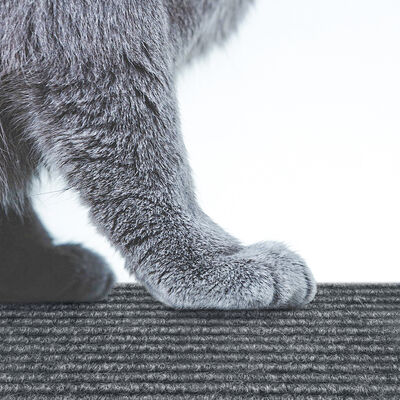 Durable Thickness 4mm Self Adhesive Cat Scratch Mat For Couch Protector