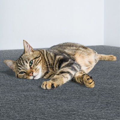 60*200cm Cat Scratch Furniture Protector Self Adhesive Cat Scratch Pad